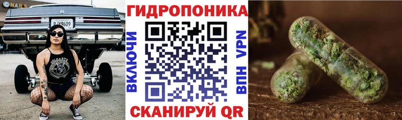 Виды наркотиков купить Гусев Alpha PVP  Марихуана  КОКАИН  АМФ  ГАШИШ  Псилоцибиновые грибы  МЕФ 
