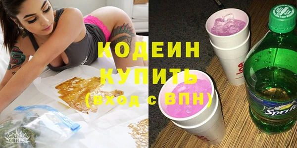 хмурый Белокуриха