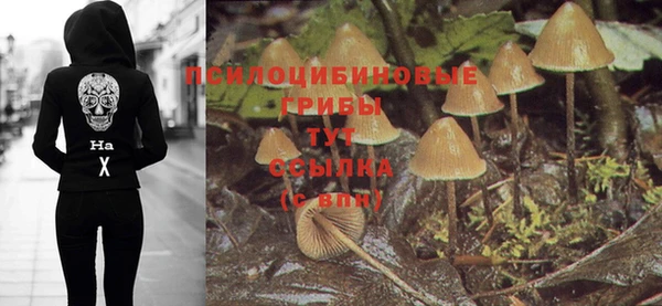 ALPHA PVP Балахна