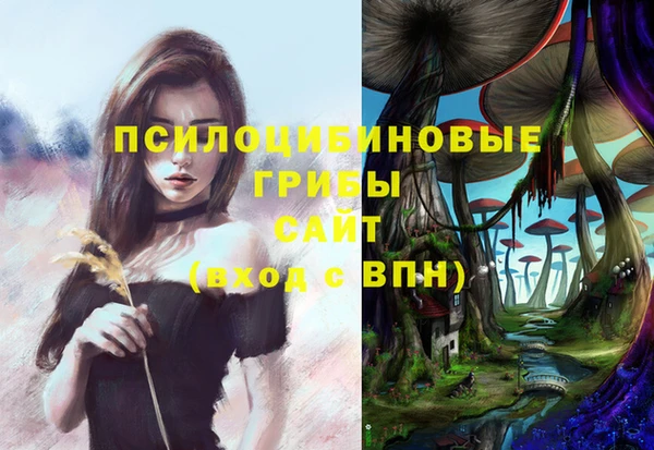 ECSTASY Баксан
