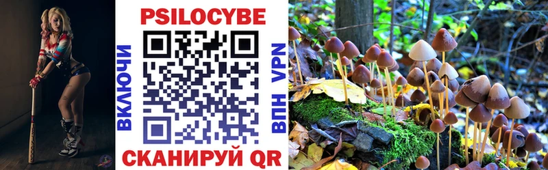 Галлюциногенные грибы мухоморы  гидра ССЫЛКА  Гусев 