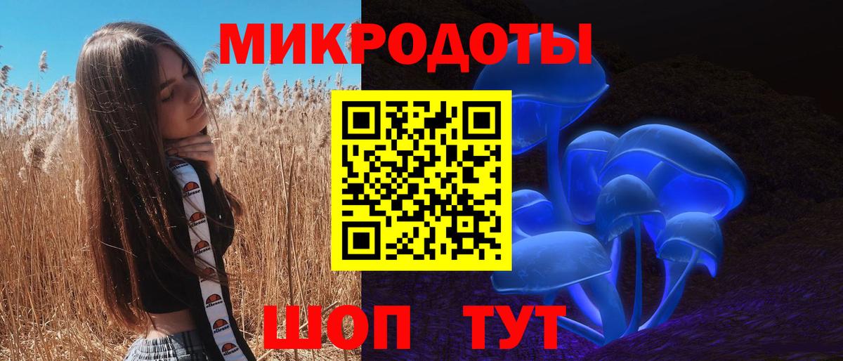 Гусев  Псилоцибиновые грибы Magic Shrooms  Вход с VPN 