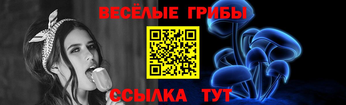 Псилоцибиновые грибы MAGIC MUSHROOMS  Гусев 