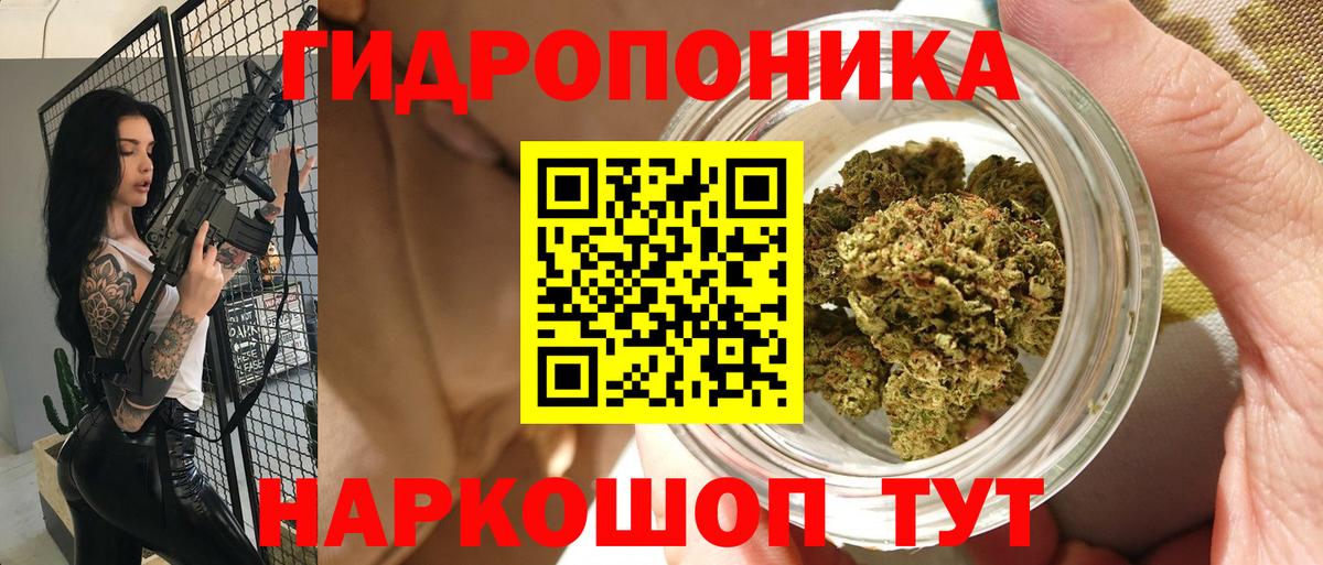 Конопля THC 21%  Гусев  Каннабис семена  МАРИХУАНА AK-47 